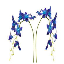 Load image into Gallery viewer, A pair of lifelike blue orchids on a white backdrop, showcasing bendable stems and 7 real touch blooms per stem.