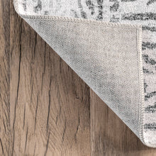 Load image into Gallery viewer, nuLOOM Transitional Vintage Washable Polyester Machine Made Rug from China. Floor covering meets art.