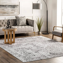 Load image into Gallery viewer, Transitional vintage rug in a living room with a sofa and chair, adds warmth and style to any decor. Machine made from 100% polyester, washable, and made in China.