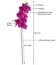 Load image into Gallery viewer, Diagram illustrating the size of a large artificial Cymbidium orchid, known for its realistic appearance and vibrant colors.

