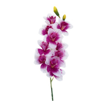 Load image into Gallery viewer, Sophisticated large real touch Cymbidium orchid in vibrant purple, featuring white flowers on a white background.
