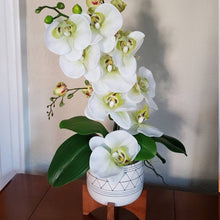 Load image into Gallery viewer, Create a captivating ambiance with a real touch white orchid arrangement in a vase, adorned with lifelike foliage and bendable, soft touch orchid leaves for added texture.
