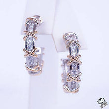 Load image into Gallery viewer, Channel Set X Huggies
