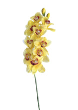 Load image into Gallery viewer, Realistic real touch yellow orchid on a stem, set against a white background, perfect for elegant centerpieces.
