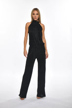 Load image into Gallery viewer, Elegant black pleated jumpsuit by Julian Chang. Features high mock neck, halter style straps, sleeveless bodice, straight waistband, long straight leg pant.
