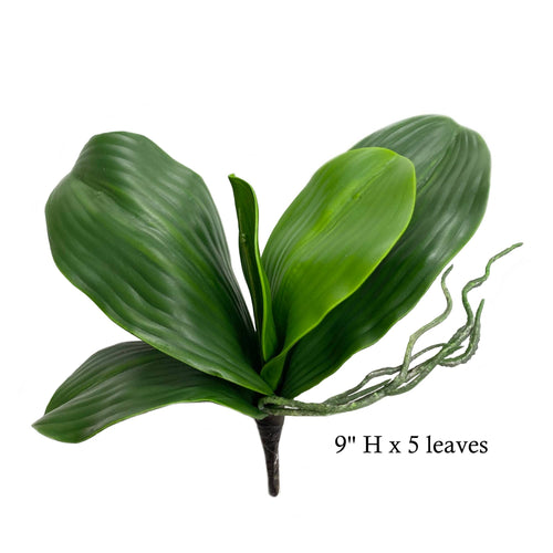 Bring a touch of nature to your space with this Real Touch Orchid Leaf Stem. Its 5 lifelike leaves, with lush green shades and soft touch, add texture and realism to any floral arrangement.