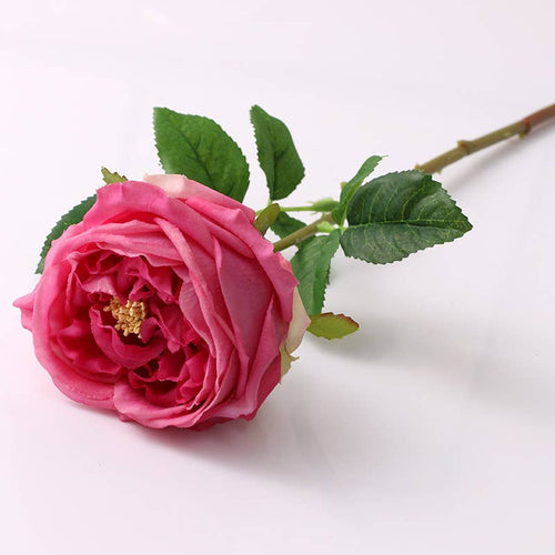 Real touch pink rose on white surface, a beautiful choice for floral designs and wedding bouquets.