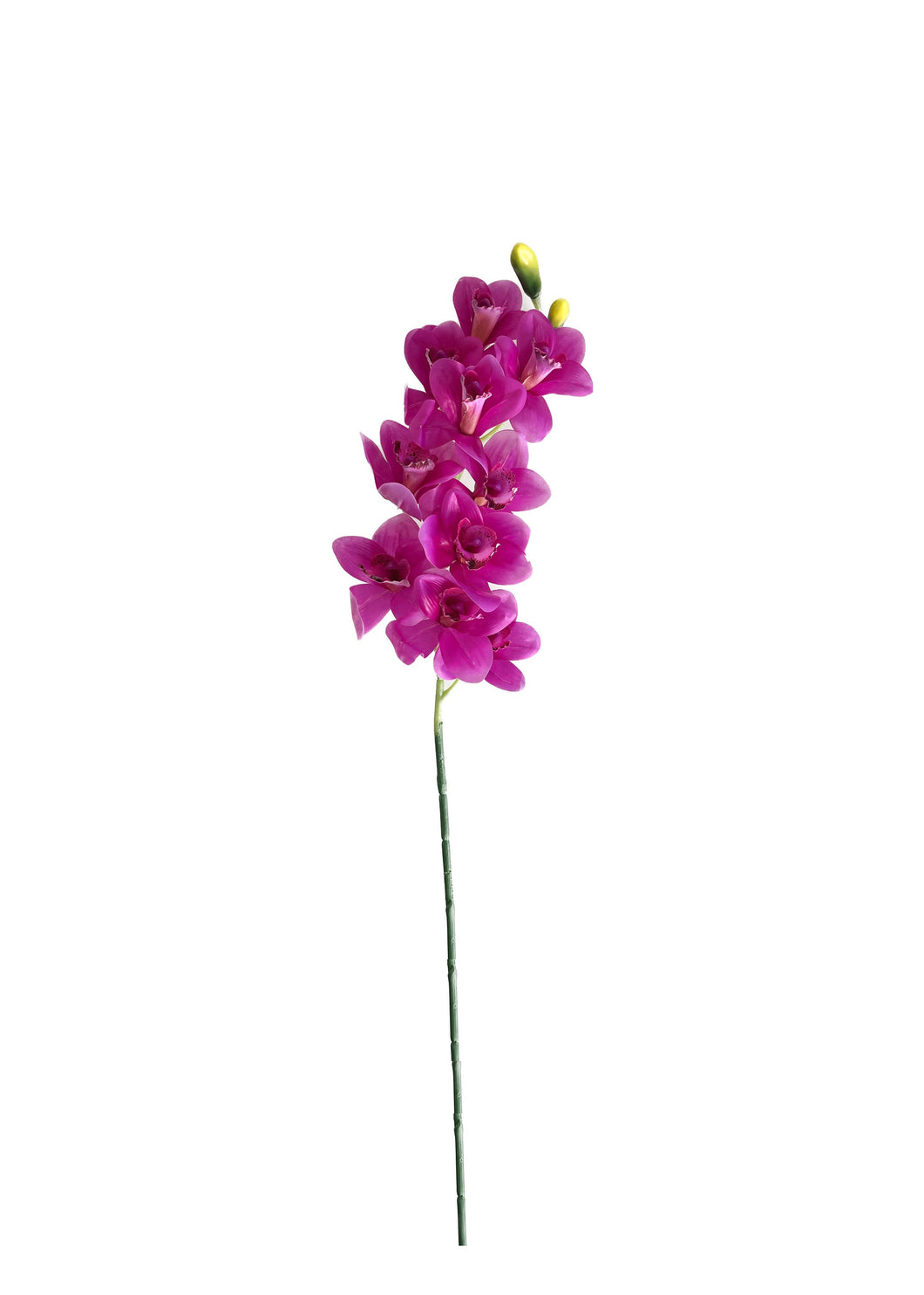 A vibrant, real touch purple Cymbidium orchid on a stem, adding sophistication to centerpieces.
