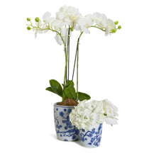 Load image into Gallery viewer, Porcelain cachepots: perfect accent for your favorite floral arrangements, providing ample room for plant growth. Must-have for plant lovers.
