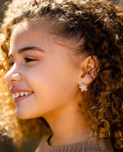 Load image into Gallery viewer, Star Druzy Earrings
