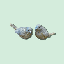 Load image into Gallery viewer, Tweety Christmas Birds
