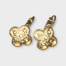 Load image into Gallery viewer, Flower Power Rosegold Earrings- Be-Je Designs
